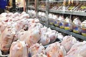 ظرفیت توزیع مرغ دولتی با پیگیری سازمان بازرسی افزایش یافت