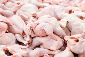 قیمت گوشت مرغ رکورد رشد 121 درصدی را شکست