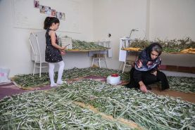دهمین دور انتخاب زنان کارآفرین برتر با آرای مردمی آغاز شد