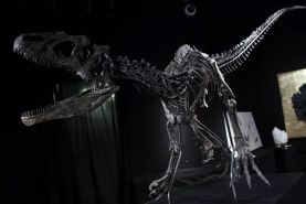 کشف 193 میلیون ساله دانشمندان در خصوص دایناسورها